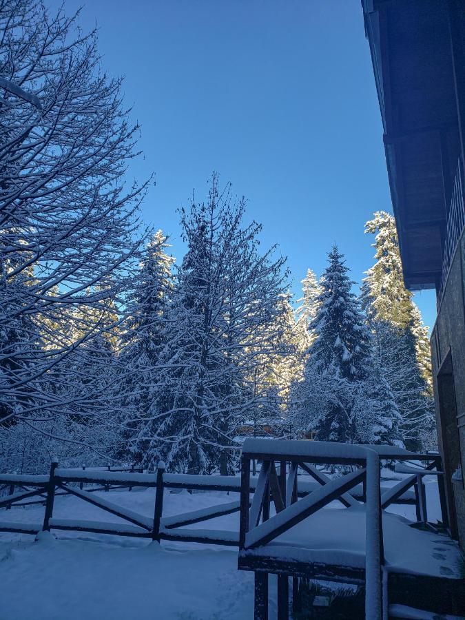Guest Rooms- Klepalski House Borovets Exterior photo
