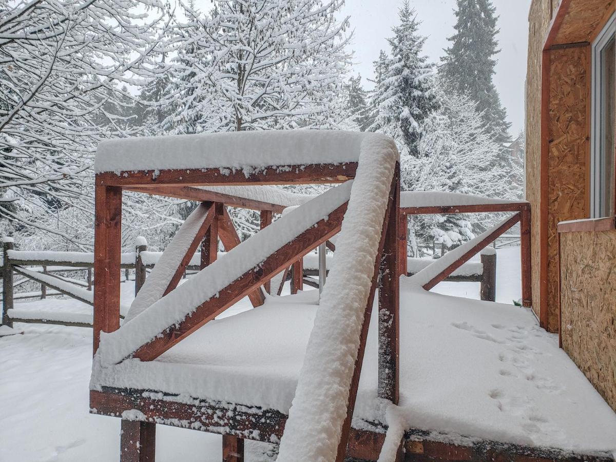 Guest Rooms- Klepalski House Borovets Exterior photo