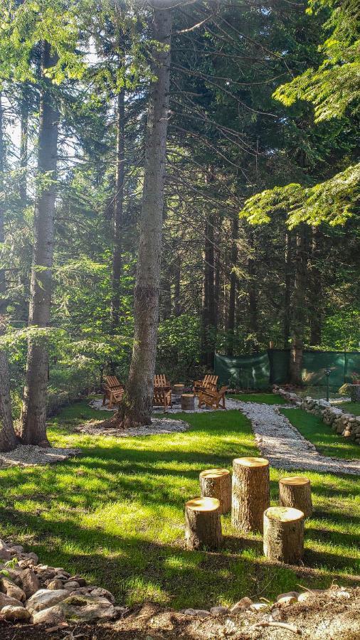 Guest Rooms- Klepalski House Borovets Exterior photo