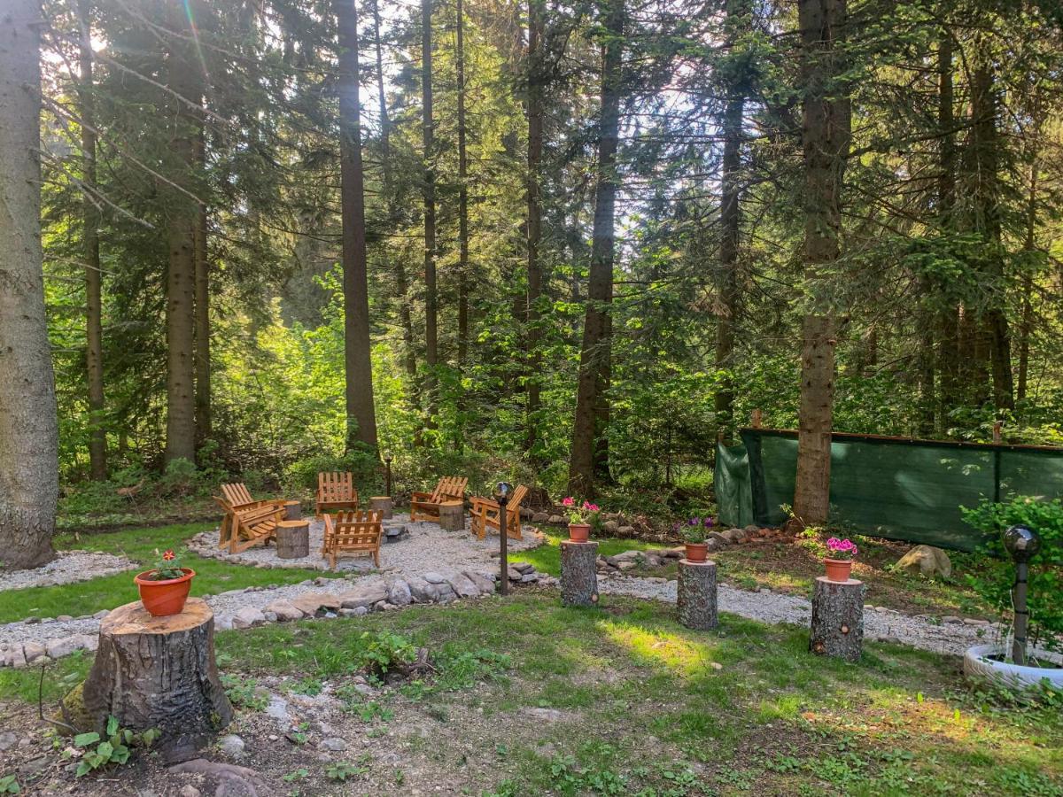 Guest Rooms- Klepalski House Borovets Exterior photo